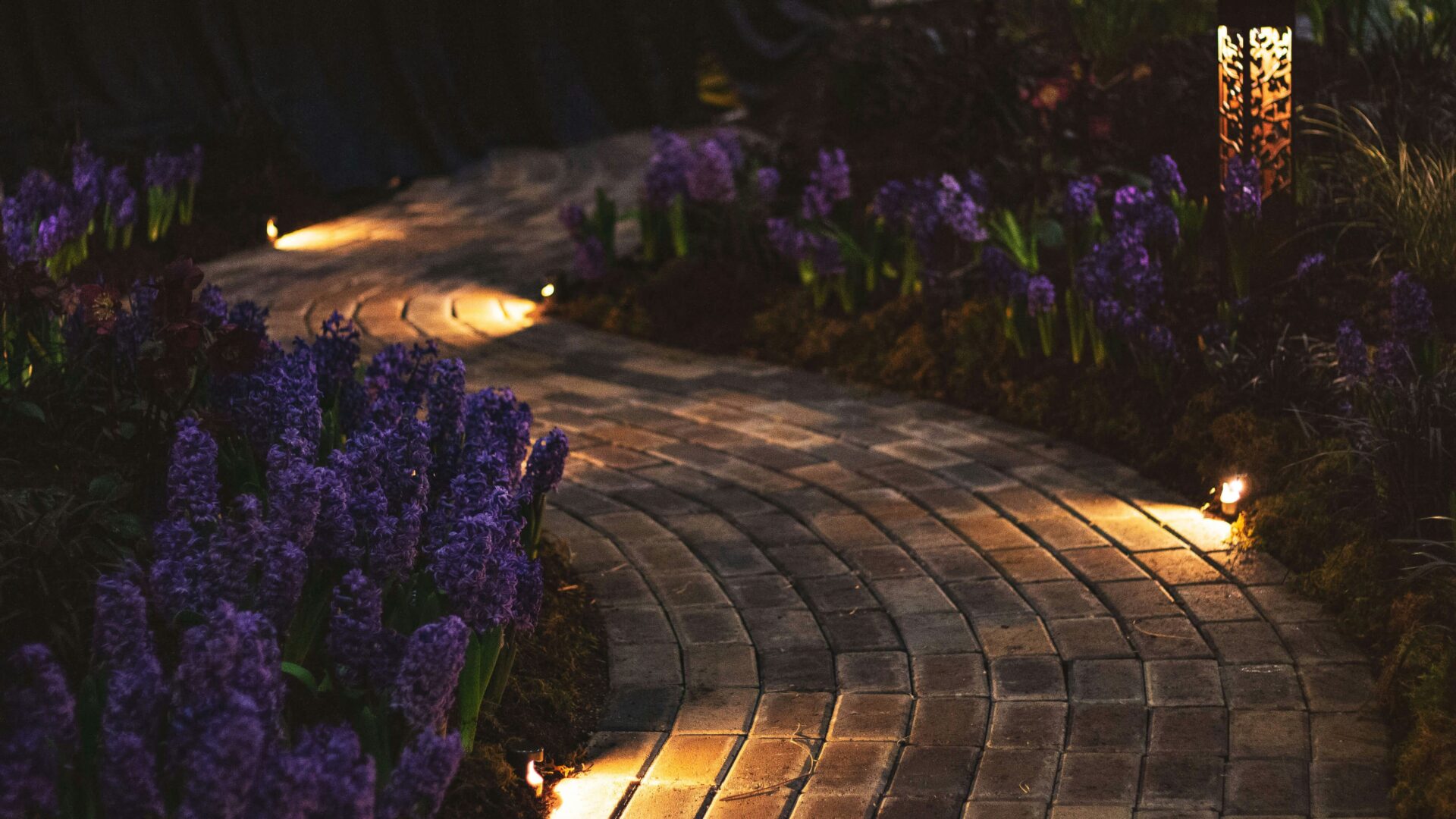 A brick path with purple flowers in the background.