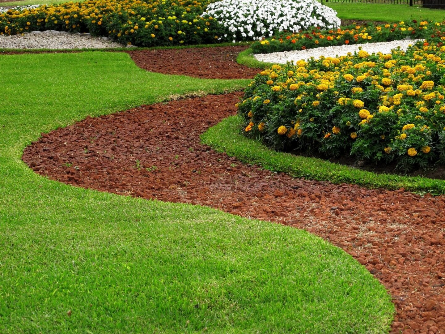 A garden with many different types of flowers.