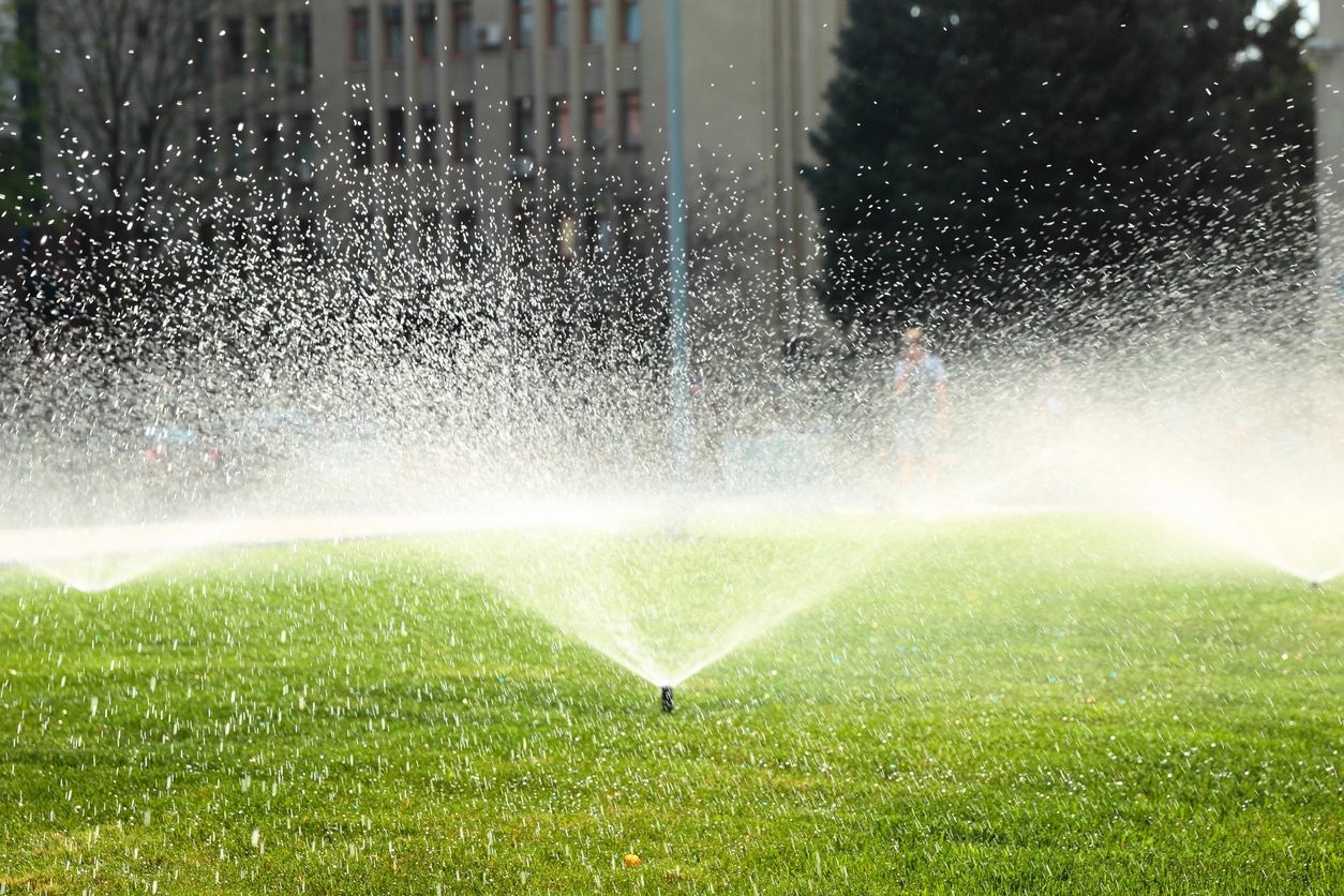 A lawn sprinkled with water from a sprinkler system.