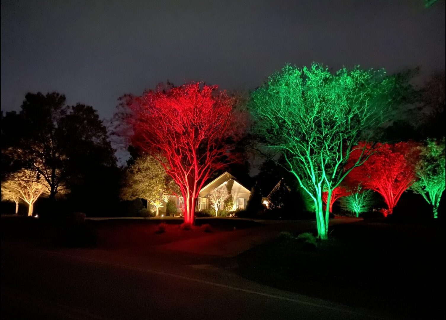 A couple of trees with lights on them