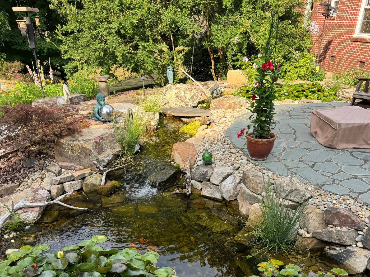 A pond with water lilies and rocks in it.