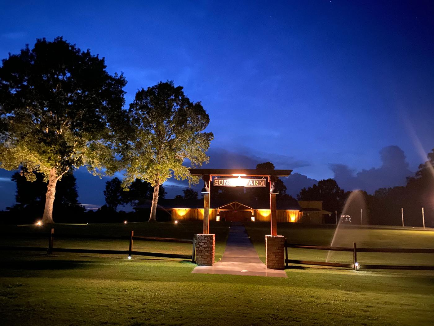 A park with lights and trees at night.