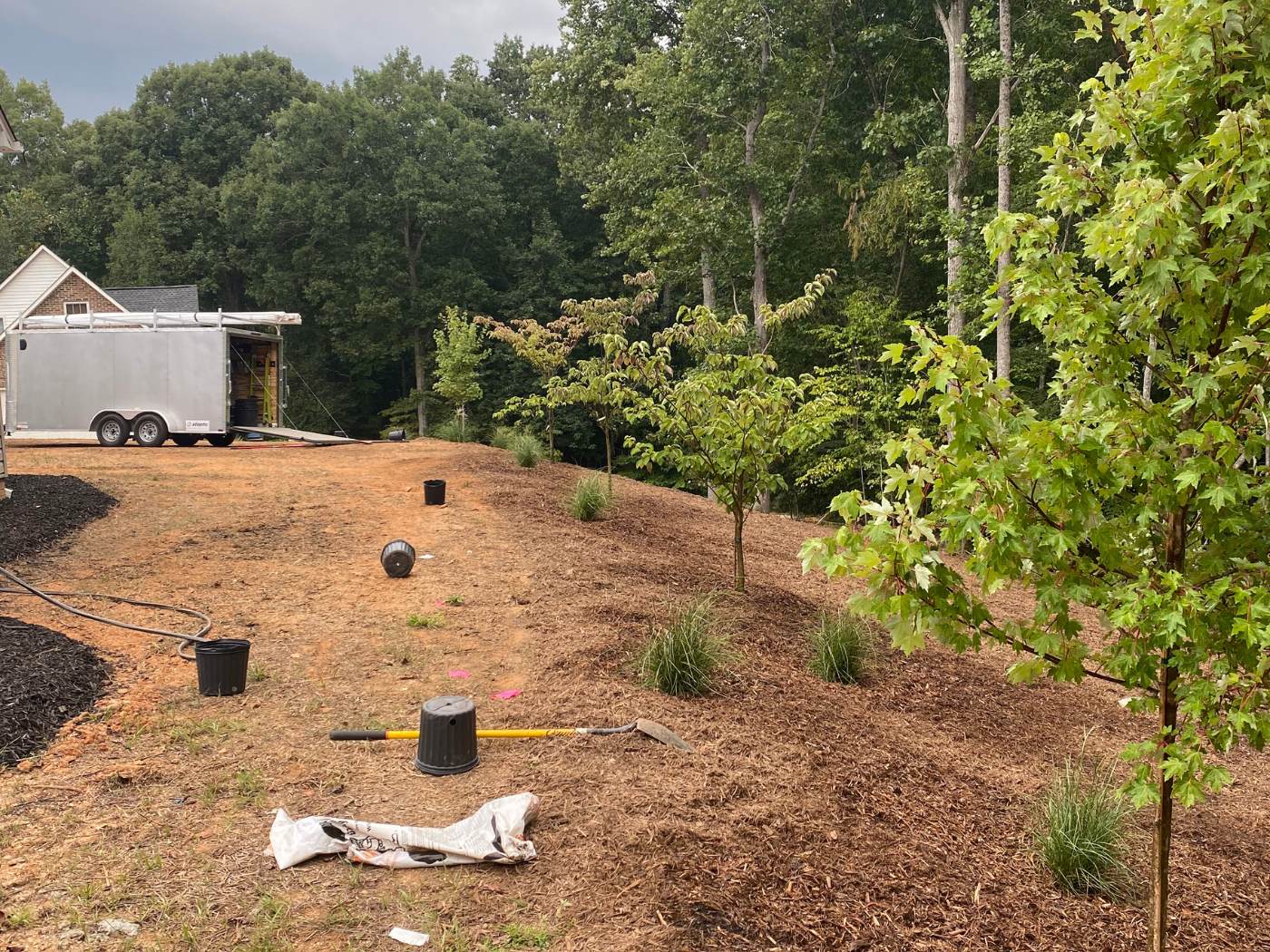 A field with trees and shrubs in the background.