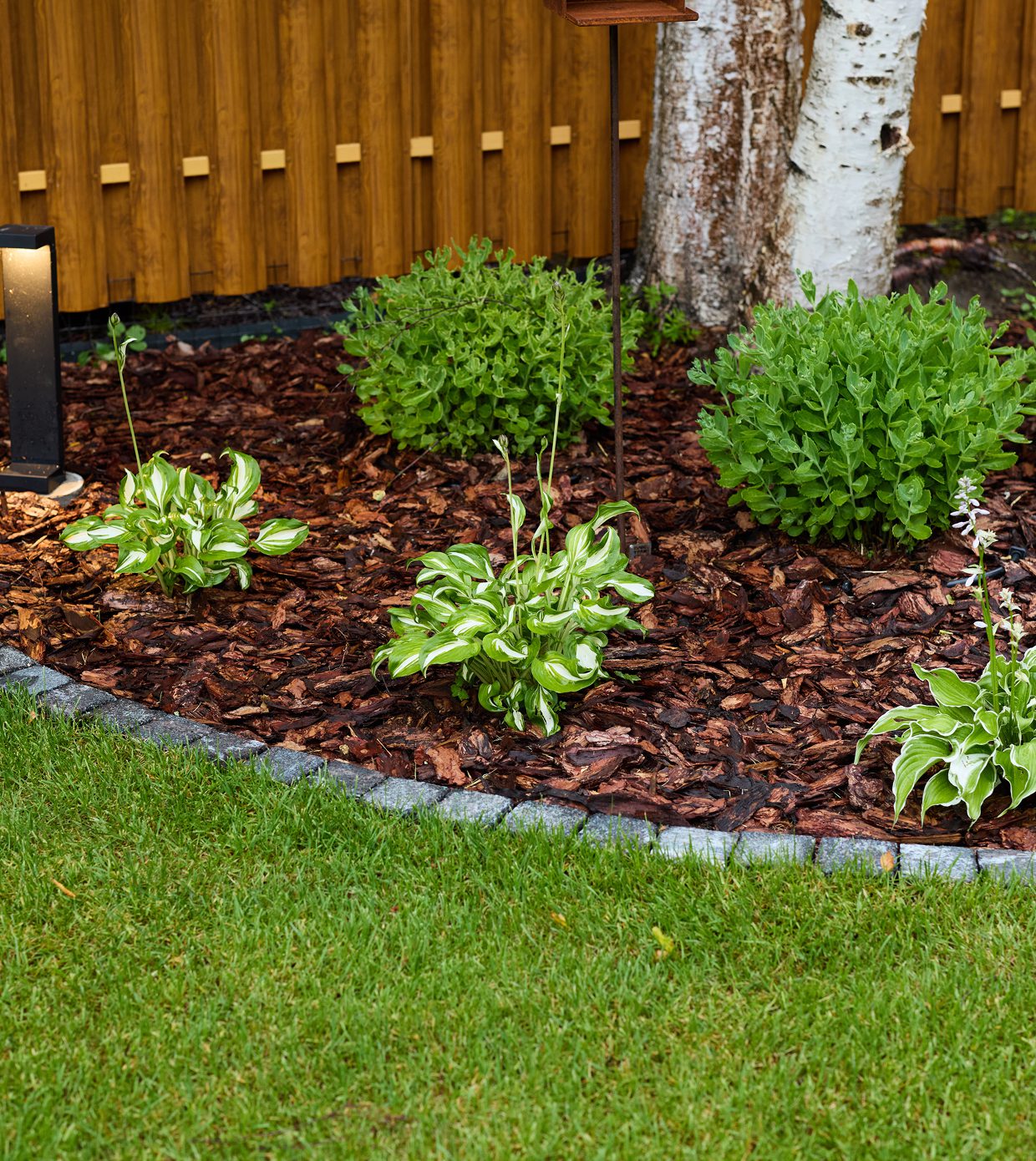 benefit-8-v6_image1 (7)